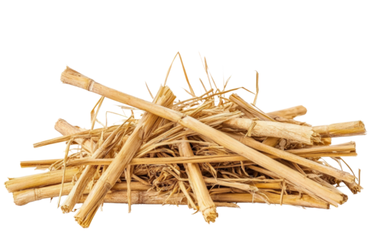 Harvesting straw agricultural field natural material rural environment ground level view sustainable practices