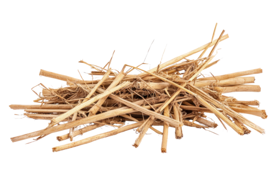Harvesting dry straw in a rural field agricultural scene natural environment close-up perspective for sustainable practices