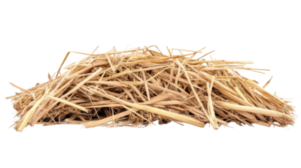 Harvesting and storing straw bales farmyard agricultural process rural setting ground level view sustainable practices