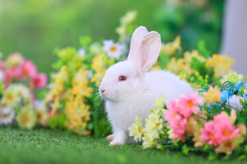 Bunny easter fluffy rabbit eating food, vegetables, carrots, baby corn on green garden nature flowers background on sunny day, Lovely mammal with  bright eyes in nature life. Symbol of easter day.