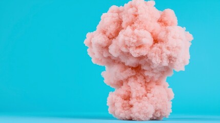 Abstract Coral Pink Cloud on Light Blue Background