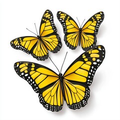 Fototapeta premium Three yellow butterflies perched together on a flower with lush green leaves in a serene garden setting captured in detail