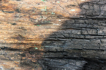 The surface of half of the wood that has been burnt or turned to charcoal. Burned wood texture. Charcoal surface texture.