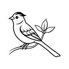 vector illustration of a bird