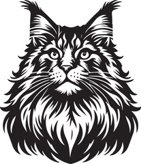 Maine coon cat vector in black and white