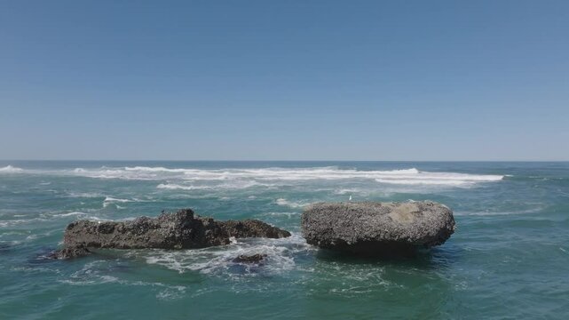 Iconic Seagull on rock in the Pacific Ocean in Ocean Waves Crashing at Cape Kiwanda On the Oregon Coast at Tierra DEl Mar Pacific City