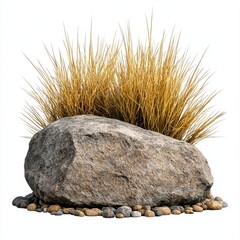 Unique rock with vibrant grass growing out of it in a natural outdoor setting showcasing resilience and beauty of nature