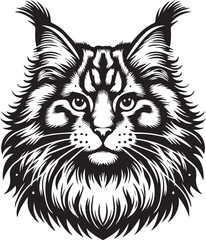 Maine coon cat vector in black and white