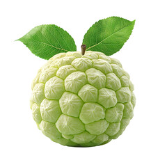 Fototapeta premium Custard Apple isolated on transparent background, png