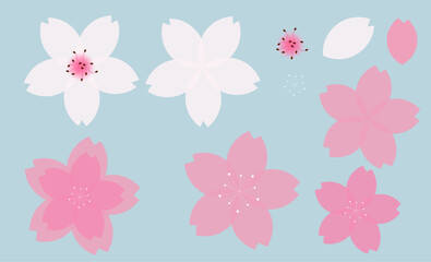 cherry blossoms, spring, flower, pink