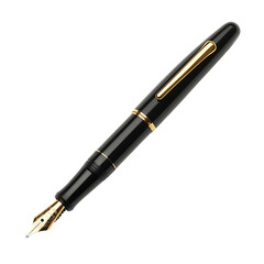 Black Fountain Pen with Gold Trim