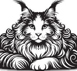 Obraz premium Maine coon cat vector in black and white