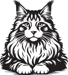 Maine coon cat vector in black and white