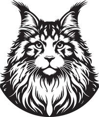 Maine coon cat vector in black and white