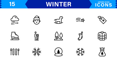 Seasonal Winter Icons. Scalable Illustrations for Snowflakes, Ice, Winter Sports, and Cozy Winter Activities