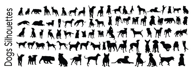 vector, isolated black silhouette of a dog, collection design 