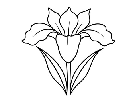 recommend clip art: Iris Flower silhouette vector illustration isolated. Black silhouettes of spring flowers tulips, narcissus, and irises isolated on a white background.