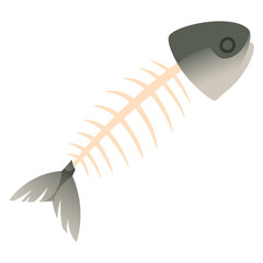 Fish bone with head and tail. Fish skeleton, backbone, fish spine. Organic waste, eaten fish, fish remains.