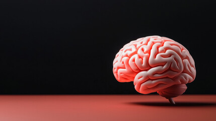 Intriguing image of a brain on a table representing the complexities of risk perception and financial anxiety in wealth psychology