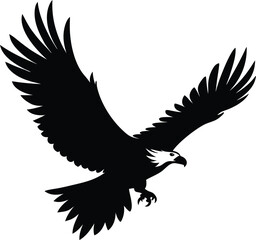 eagle on a white background