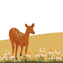vector drawing daisy flowers and sika deer, hand drawn illustration