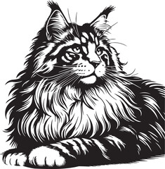 Maine coon cat vector in black and white