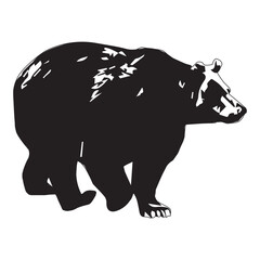 Vector illustration of bear animal, types of omnivorous animals, on white background