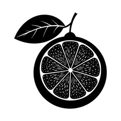 Grapefruit silhouette vector