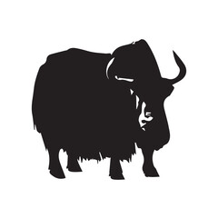 Vector illustration of yak animal, types of herbivorous animals, on white background