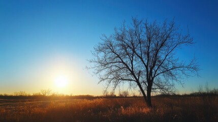 Blue sky with bright sun