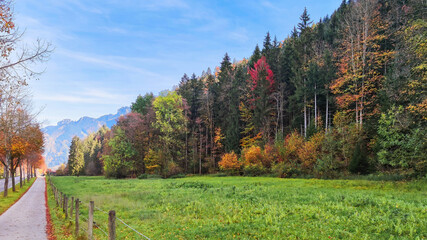 Scenic autumn road in Bavaria leading to Neuschwanstein and Hohenschwangau Castles, surrounded by colorful trees, lush green meadows, and majestic mountains in a peaceful German countryside landscape