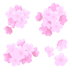 手書き風の桜のイラスト