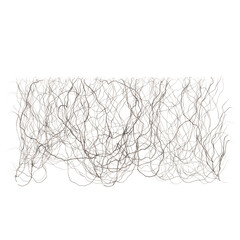 Wall Mounted Dead Creepers isolated on Canvas