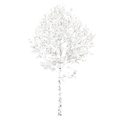 winter snowy Winter Fir Tree isolated on transparent Canvas