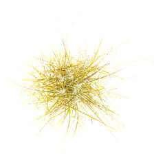 3d Rendering Of wild grass on Transparent Canvas from the top view