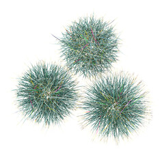Obraz premium 3d illustration of Wild field grass isolated on transparent canvas from top view