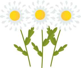 Daisy flower shaped pillow