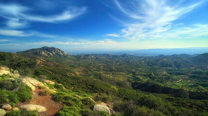 Breathtaking Cowles Mountain Vista: A Panoramic View of Lush Greens and Clear Blue Skies