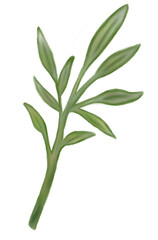 twig of green leaves leaf digital watercolor painting png