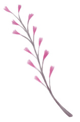 pink purple fuchsia flower leaf no background png digital watercolor painting