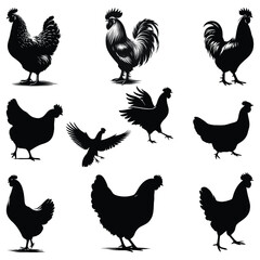 set of chicken silhouettes