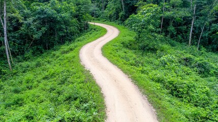 Dusty dirt road leading through dense jungle surrounded by lush green foliage and tropical plants
