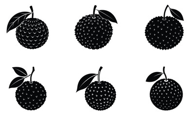 Lychee silhouette vector