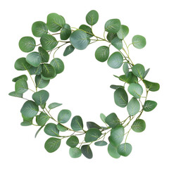 Obraz premium Eucalyptus Wreath Green Leaves on transparent background.