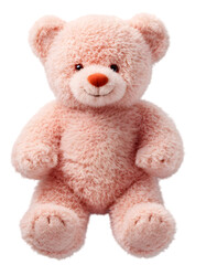 High-Definition Fluffy Teddy Bear with Bouquet - PNG