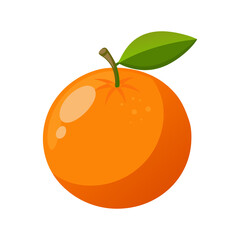 orange fruit vector illustration on transparent background