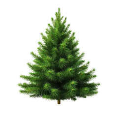 Fototapeta premium Green Christmas Tree on White on transparent background.