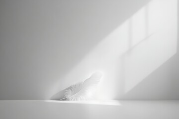 Minimalist feather, light, empty room, product display