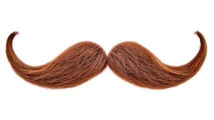 Long red mustache with transparent background for easy editing
