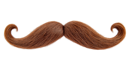 Ginger curly mustache with transparent background for easy editing